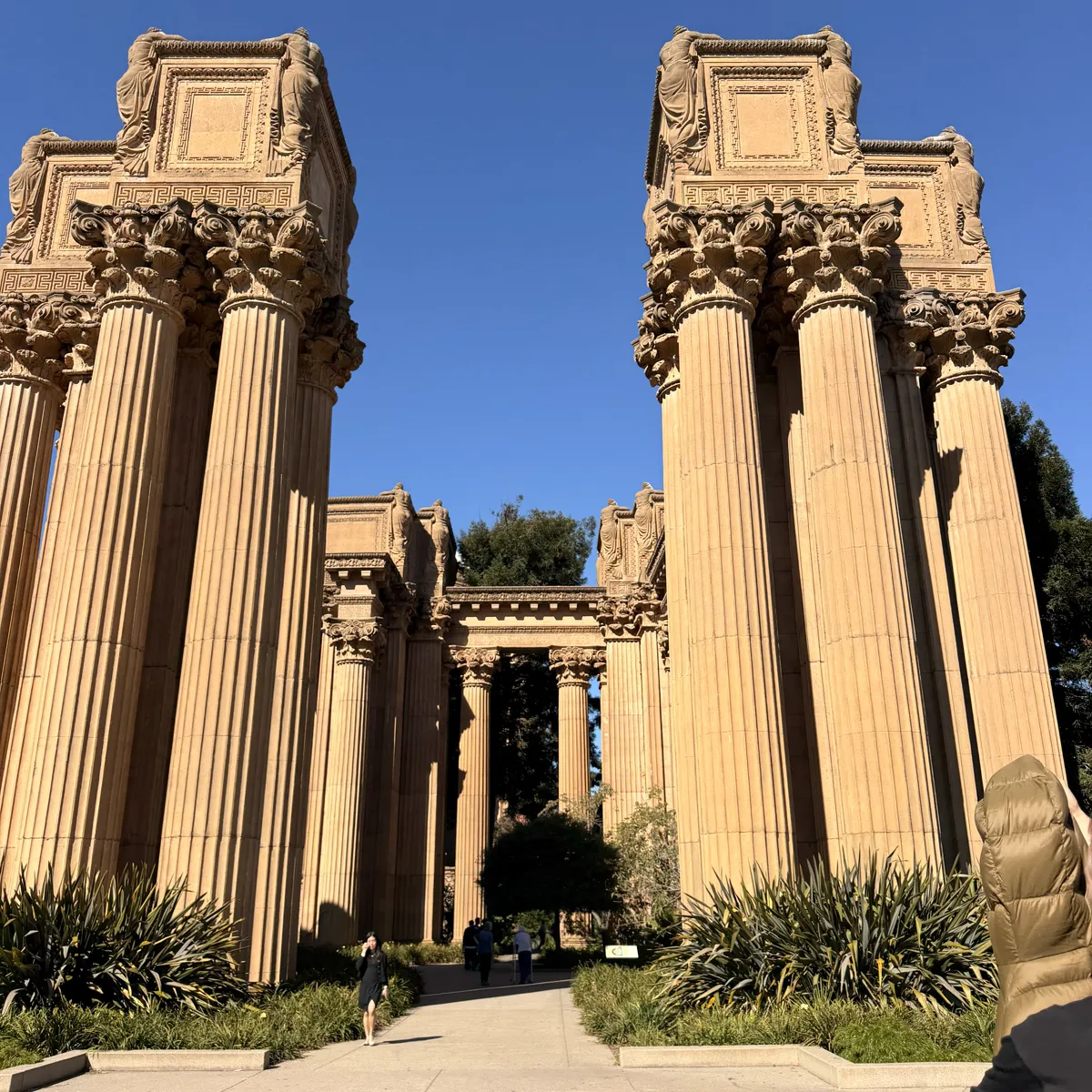 The tall Corinthian columns of the Palace of Fine Arts in San Francisco against a clear blue sky